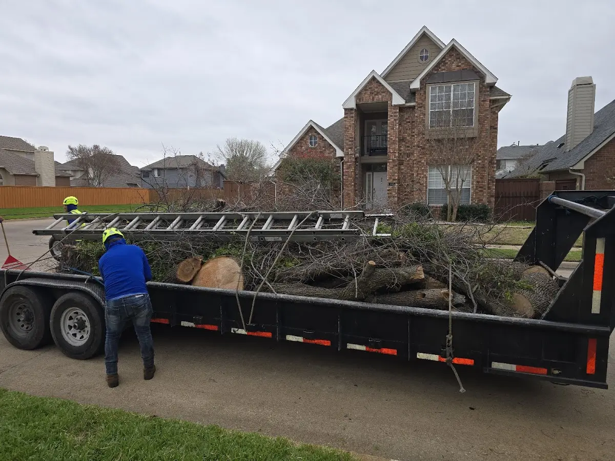 Expert Crown Reduction with proper safety equipment in Sulphur Springs